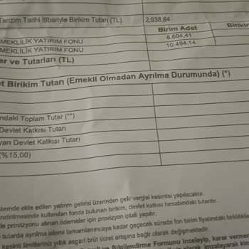 Emeklilik Fonumda Kaybolan Paralar