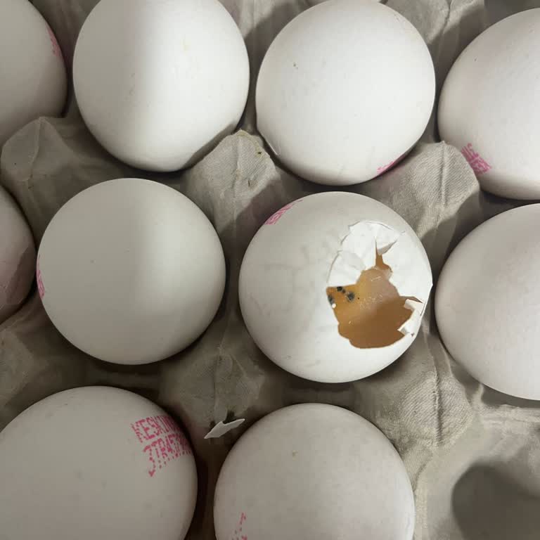 Migros Sanal Market'te Sürekli Kırık Ve Bozuk Yumurtalar!