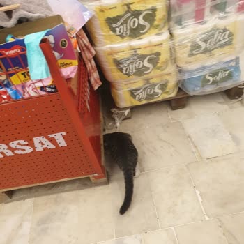 Şok Market'te Hijyen Ve Düzen Sorunları: Müşteri Sağlığı Tehlikede