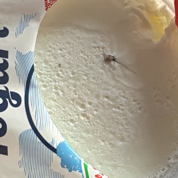 Yoğurt İçinde Şaşırtıcı Yabancı Madde