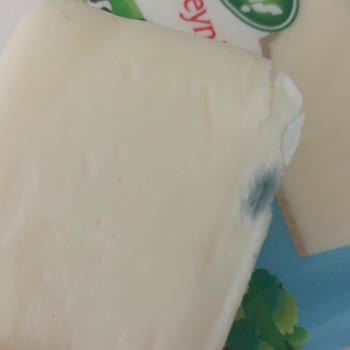 Sütaş Kaşar Peynirinde Şok Eden Küf Problemi