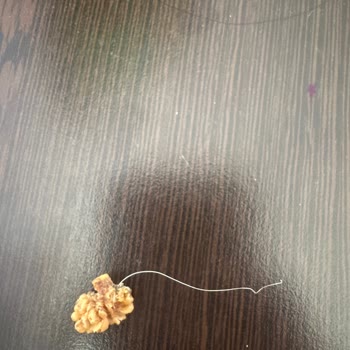 Hazarbey Food Şikayeti