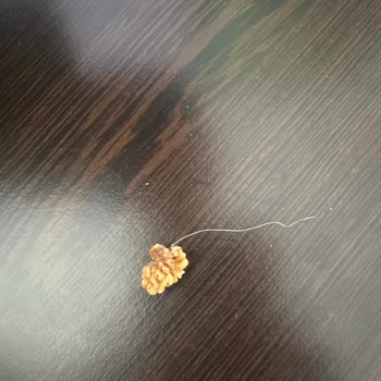 Hazarbey Food Şikayeti