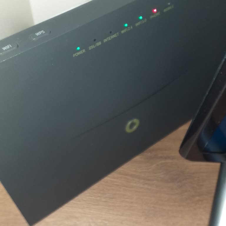 Gvineya porno Lolining osib ketgan mushukining fotosurati