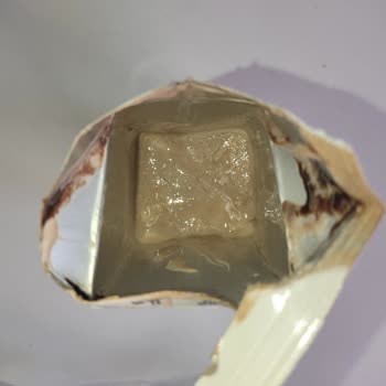 Pediasure Abbott Ürününde Ambalaj Sorunu Ve Çifte Standart