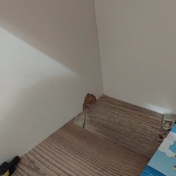 Ergül Mobilya'da Müşteri Hizmetleri Fiyaskosu