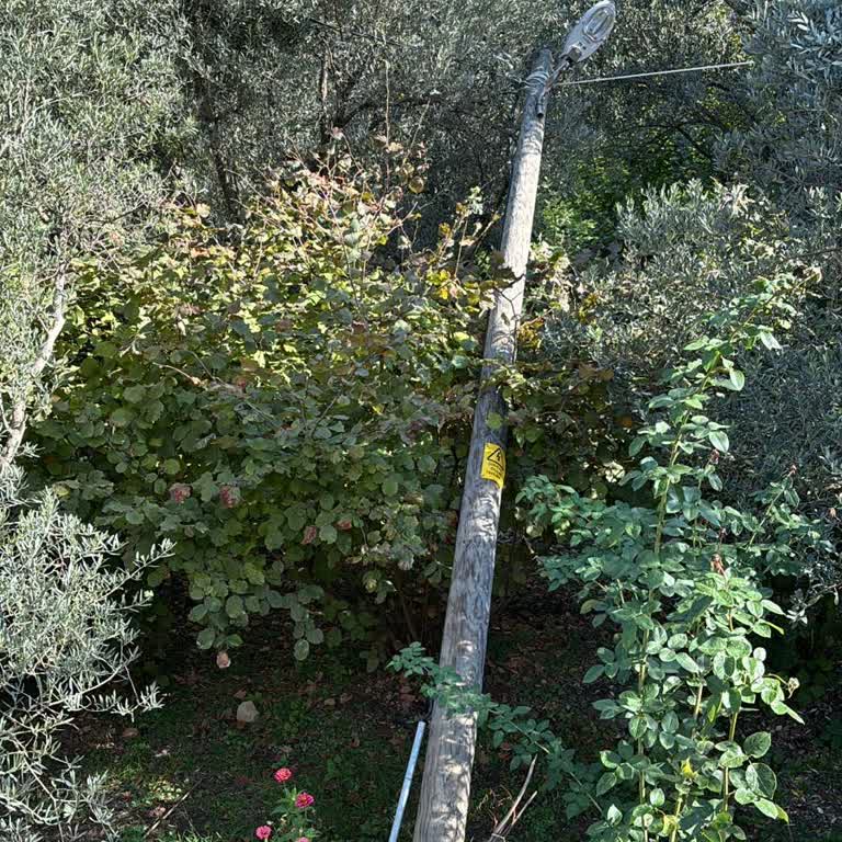 Tehlike Saçan Elektrik Direği Ve İlgisizlik