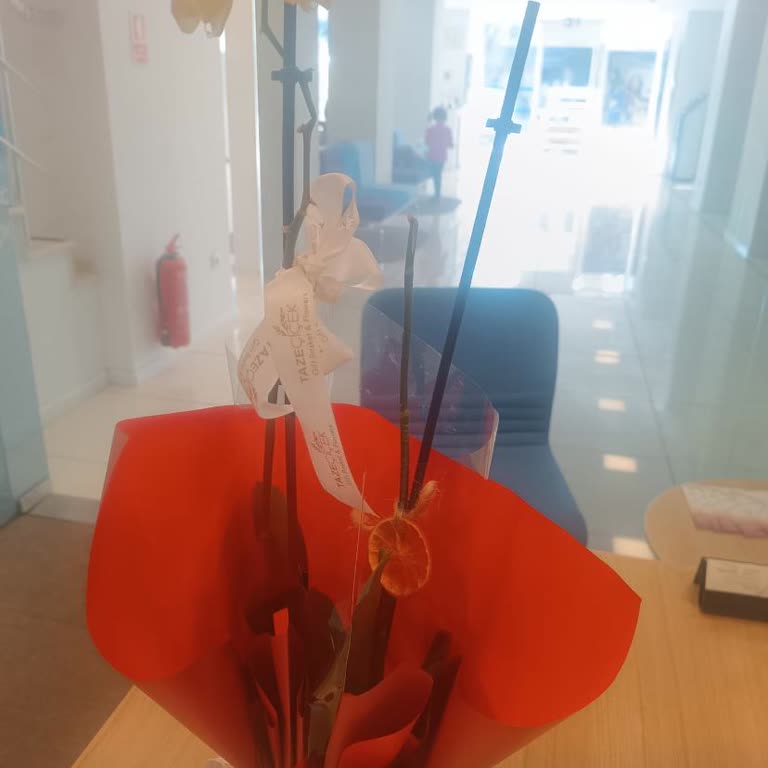 Yanlış Orkide Teslimatı Ve İlgisiz Müşteri Hizmeti