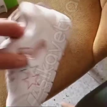 FLO Ayakkabı Değişim Yapılmalı!
