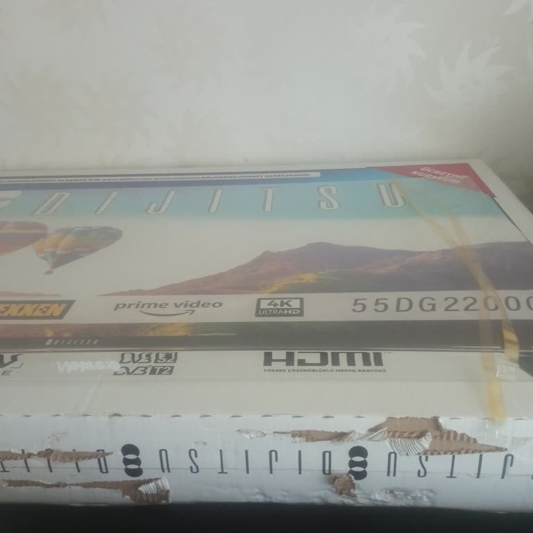 Dijitsu Televizyon Kurulumunda Servis Gecikmesi