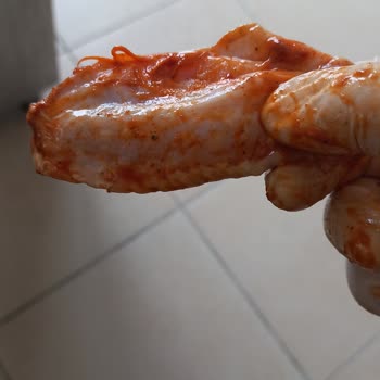 Temizlenmemiş Kanat Butları Ve Yetersiz Müşteri Hizmeti