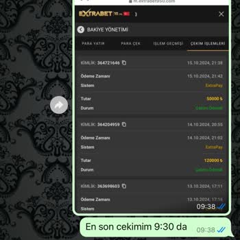 Sitesinde Güvenlik Açığı Ve Destek Eksikliği