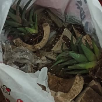 Dolap Uygulamasında Satıcı Mağduriyeti!