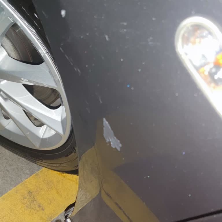 Araba Yıkamada Boya Hasarı Ve İlgisizlik