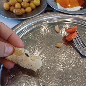 Kahvaltıda Sinek Şoku