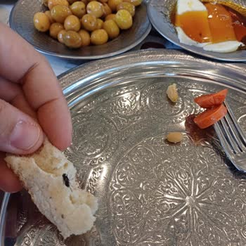 Kahvaltıda Sinek Şoku