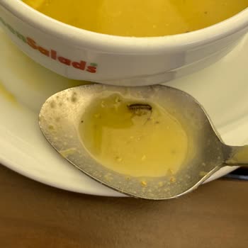 Restoran Yemeklerinde Hijyen Sorunu