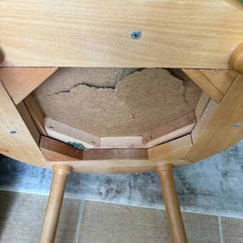 Doğtaş Mobilya'dan Aldığım Sandalyeler 1.5 Yılda Çöktü!