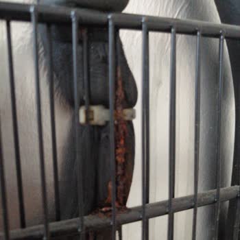 Beko Derin Dondurucu Kronik Sorunlarla Hayal Kırıklığı Yaşatıyor