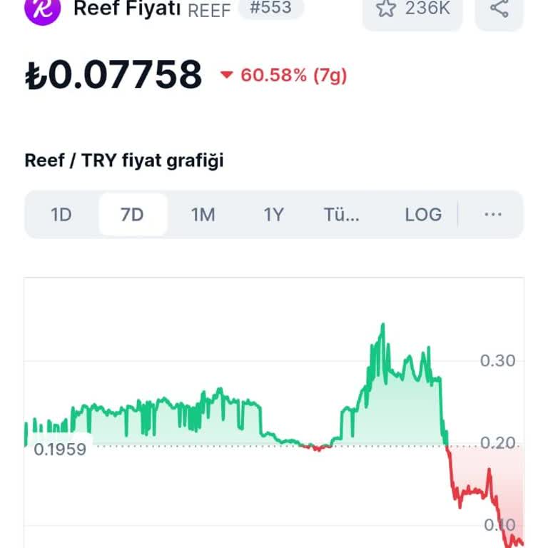 Paribu'da Reef Coin Mağduriyeti