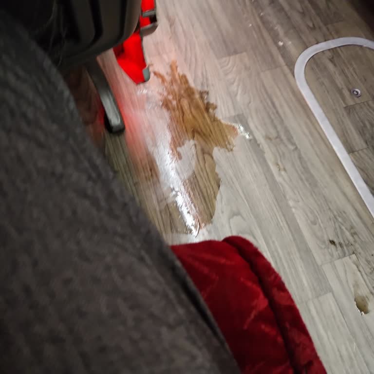 Lüks Adana Seyahatinde Dayanılmaz Koku Ve Hijyen Sorunu