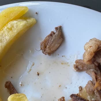 Köfteci Yusuf'ta İlgisiz Hizmet Ve Hijyen Sorunu