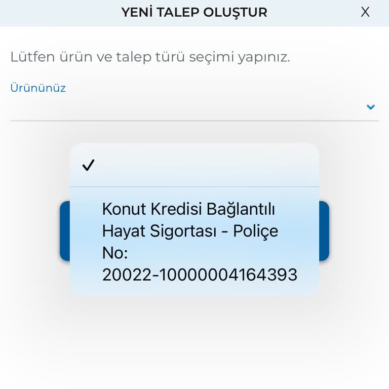 BES İptal Sürecinde Yaşanan Sorunlar