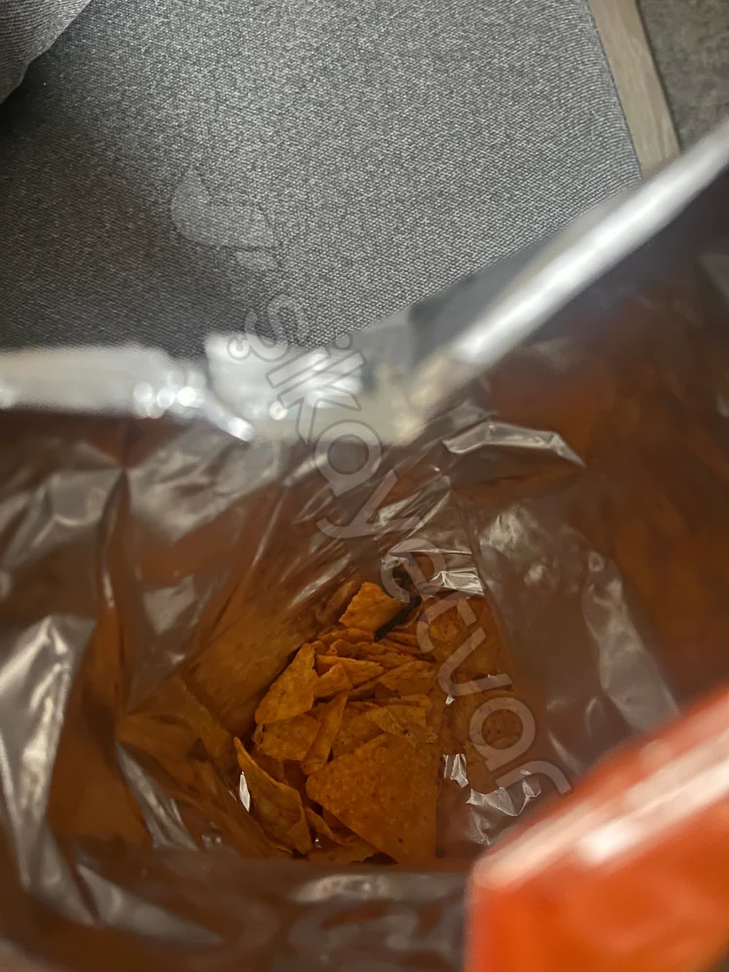 Bolly4U: This One Trick Changed My Movie Night Forever! - nx1rwmr