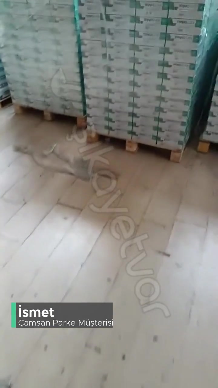 Çamsan Parke Camsan&nbsp; Koskoca Firmanın Palet Parasından Korkması! videonun kapak resmi