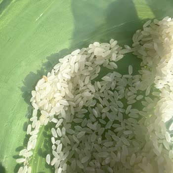 Kurtlu Pirinç Kabusu: Yayla Bakliyat'tan Beklenmedik Sürpriz