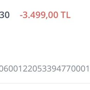 İnegolevim.com İletişim Sorunlarıyla Karşılaşılan Sipariş Süreci