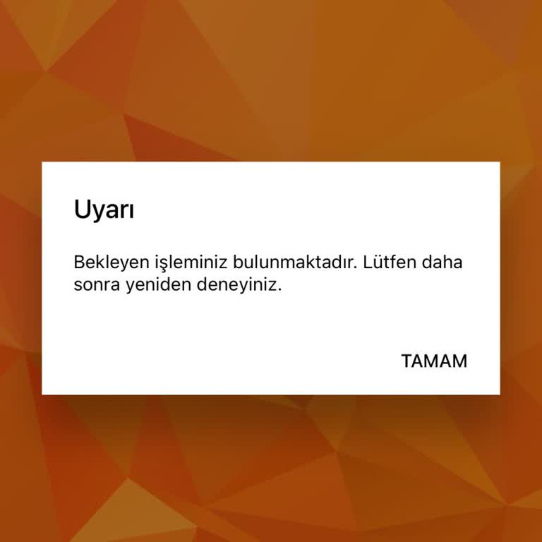 ALES Başvuru Ödemesinde Sürekli Hata Alıyorum