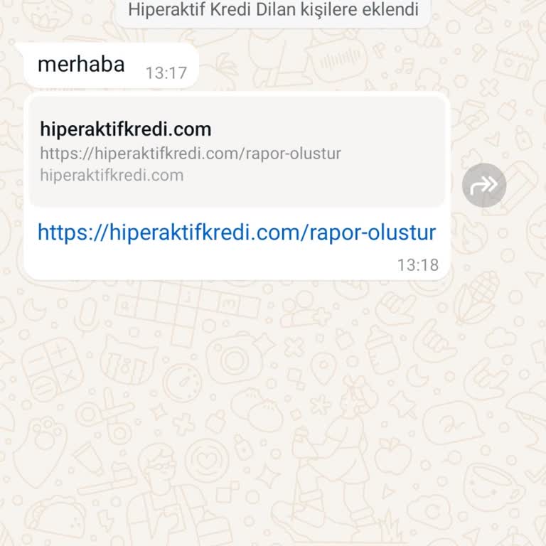 Yanıltıcı Kredi Teklifi Ve Sorumluluk Reddi