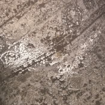 Arman Kuru Temizleme Aldığım Hizmetten Hiç Memnun Kalmadım!