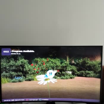 Kablo TV Yayın Kesintisi Ve Müşteri Hizmetleri Sorunu