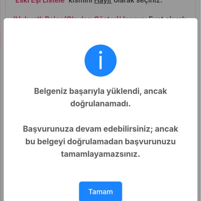 Belge Doğrulama Sorunu: Başvurumu Tamamlayamıyorum!
