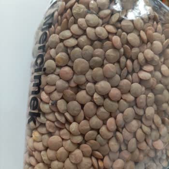 A-101'den Aldığım Mercimekte Canlı Böcek Şoku