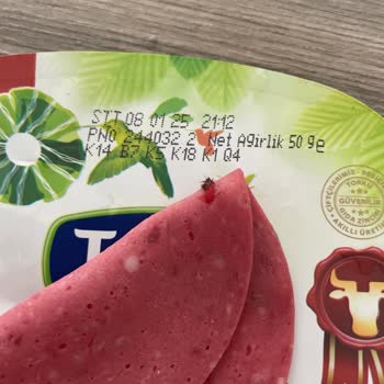 Torku Salamda Kıl Şoku: Kahvaltımız Mahvoldu