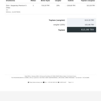 Kaspersky Lisans Giriş Sorunu Ve İletişim Eksikliği