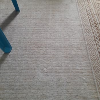 Mavi Halı (mavihalionline) Şikayeti