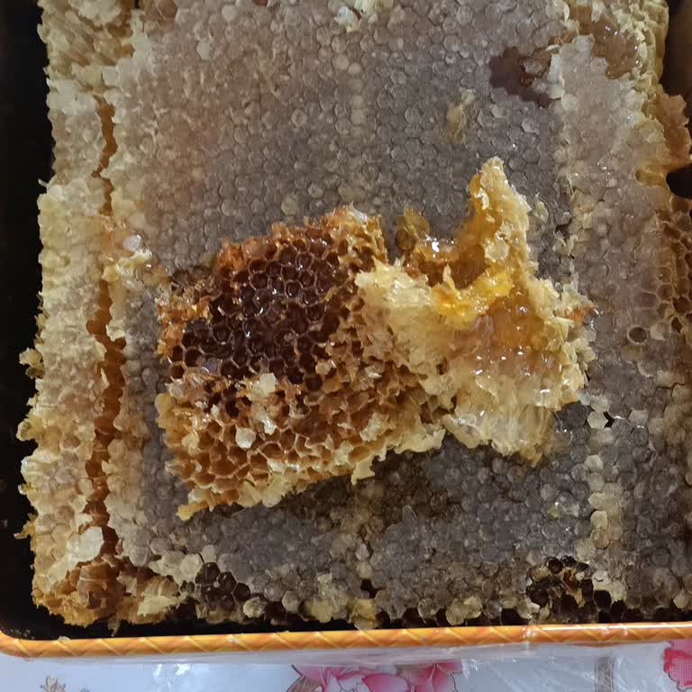 Karakovan Balında Doğallık Sorunu Ve İade Talebi