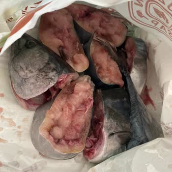 Migros'tan Aldığım Bayat Balık Hayal Kırıklığı