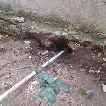 Lüleburgaz Belediyesi 2 Haftayı Geçti Yetkiler Tarafından Aranmayı Bekliyorum!
