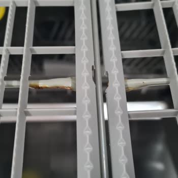 Samsung Bulaşık Makinesi Çekmecesi Küflenme Sorunu