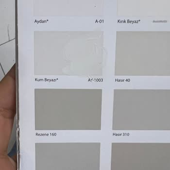 Yanlış Renk Boya Krizi: Filli Boya İle Yaşanan Zorlu Süreç