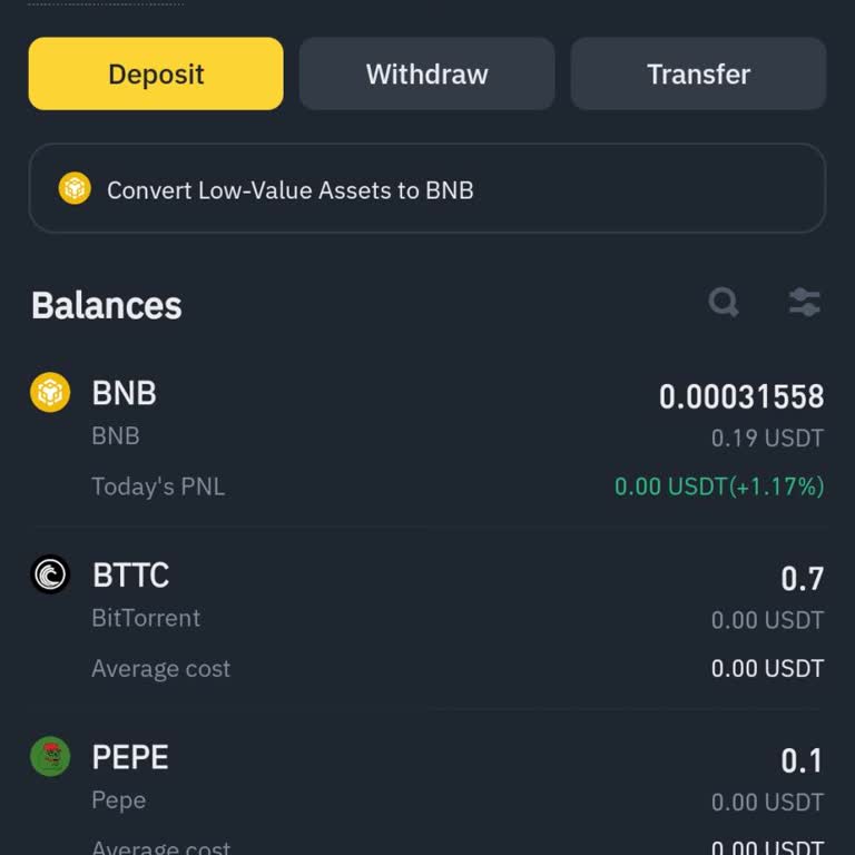 Coin Delist Edildi: Bakiye Görünmüyor