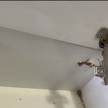 Hatalı İade Kararıyla Mağdur Edilen Üreticinin Feryadı