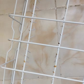 Paslanan Bulaşık Makinesi Sepeti Mağduriyeti