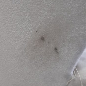 Teslimat Gecikmesi Ve Kusurlu Ürün Sorunu