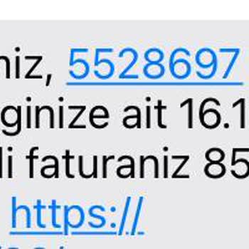 Milleni.com'da Söz Verilen Ücretsiz Teknik Destek Ücreti Şoku